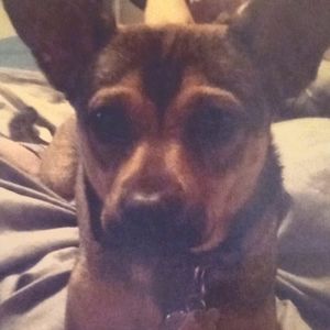 Meet your Posher, Candace